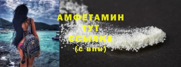 соль ск Вяземский