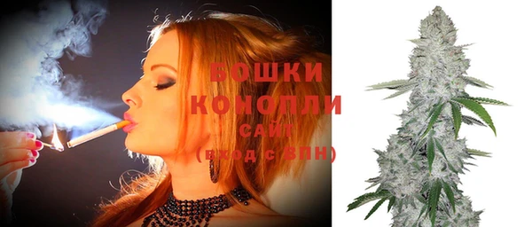 соль ск Вяземский