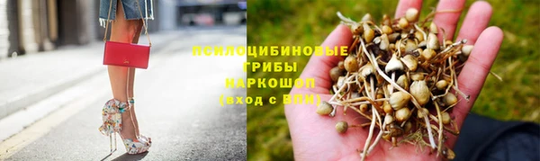 соль ск Вяземский