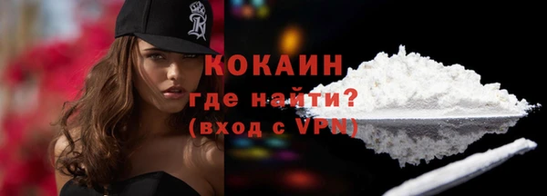 соль ск Вяземский