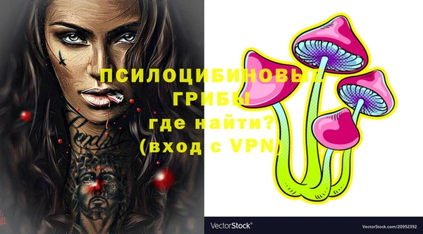 ешки Вязьма
