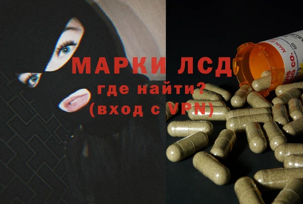соль ск Вяземский