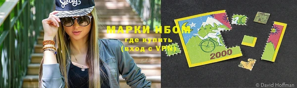 соль ск Вяземский